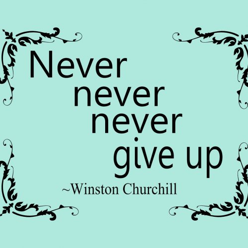 winston_churchill_quote__never_never_never_give_up__vinyl_wall_d___677852e5