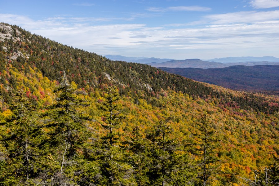 2015-09-treetops-day-2-5